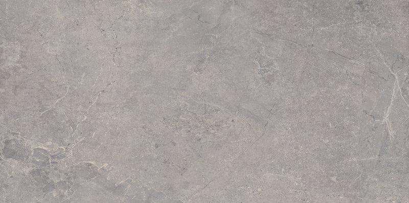 soreno grigio 24x48 porcelain pavers LPAVNSORGRI2448 msi collection product shot tile view 2