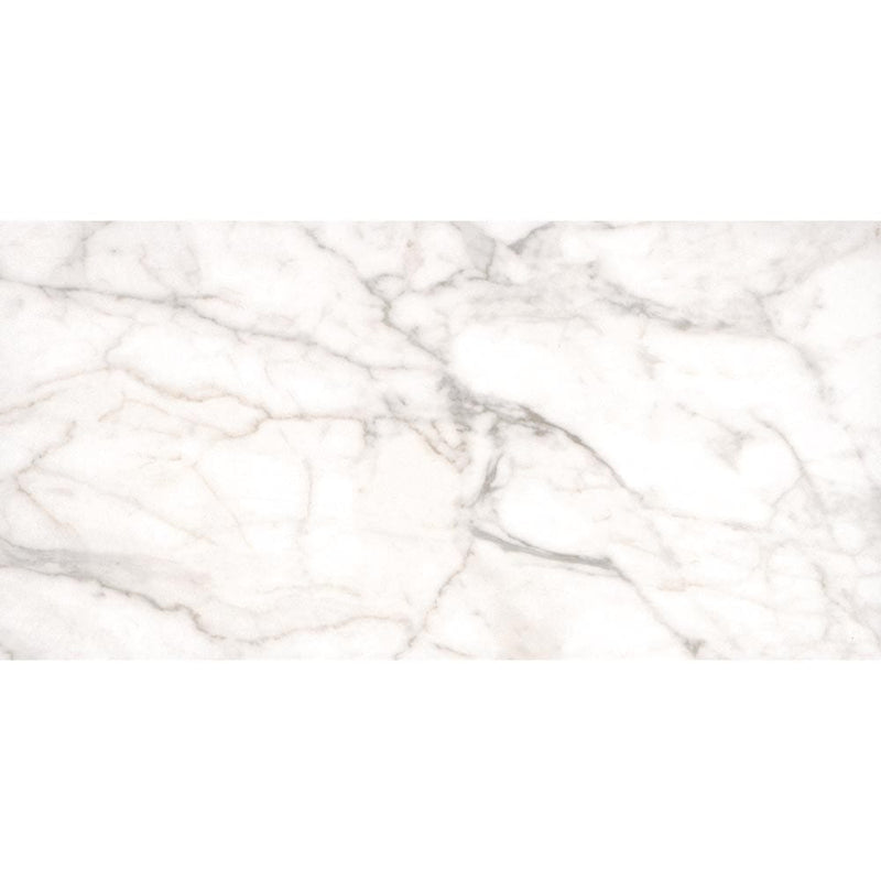 white vena 12x24 glazed ceramic wall tile msi collection NWHIVEN1224 product shot one tile top view